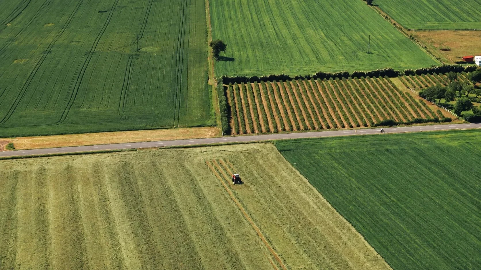 Agriculture